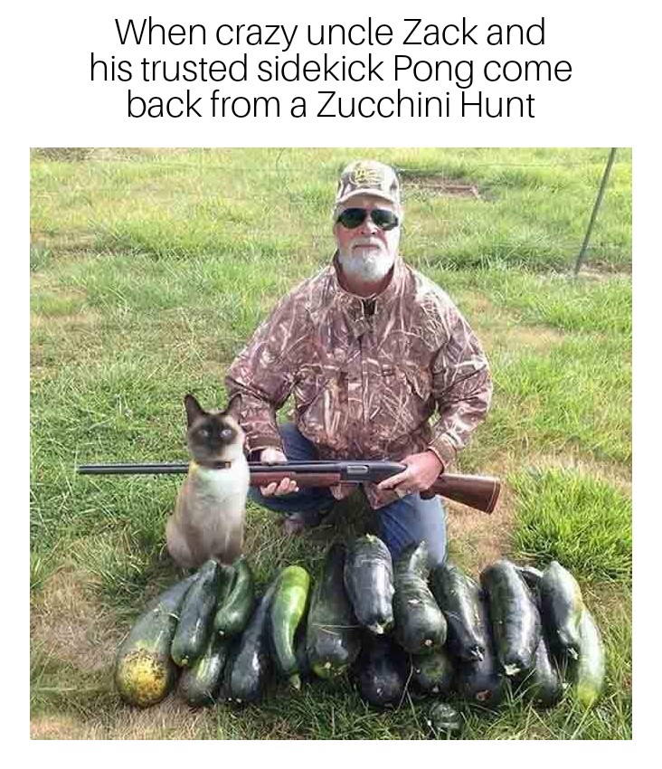 Man, his cat, and the catch of the Zucchini hunt