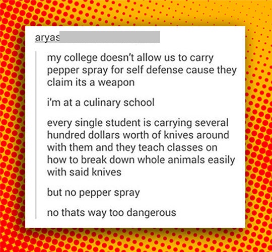 point - aryas my college doesn't allow us to carry pepper spray for self defense cause they claim its a weapon i'm at a culinary school every single student is carrying several hundred dollars worth of knives around with them and they teach classes on how