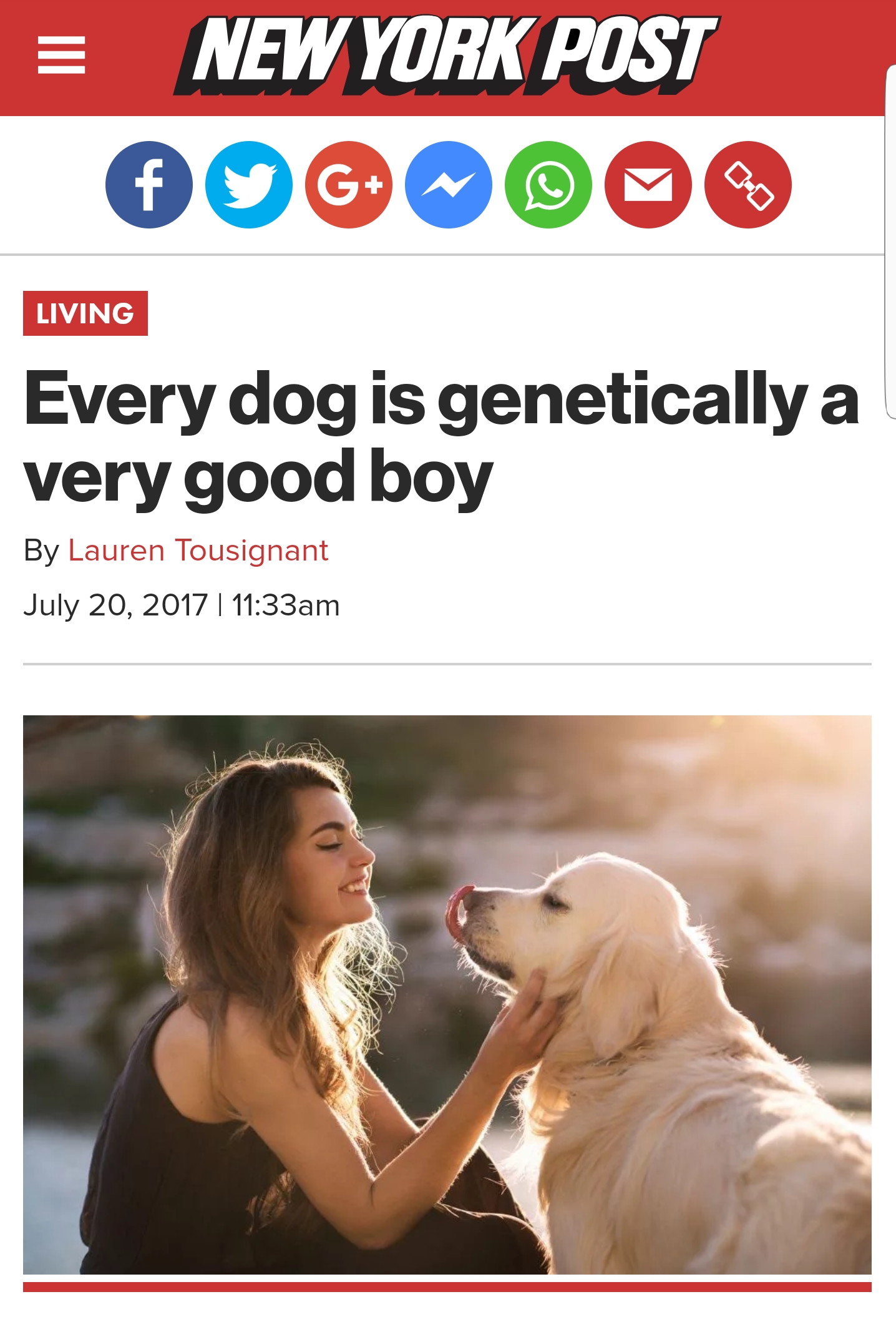 New York Post Living Every dog is genetically a very good boy By Lauren Tousignant am