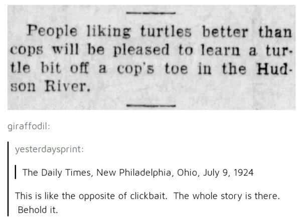 document - People liking turtles better than cops will be pleased to learn a tur. tle bit off a cop's toe in the Hud. son River. giraffodil yesterdaysprint | The Daily Times, New Philadelphia, Ohio, This is the opposite of clickbait. The whole story is th