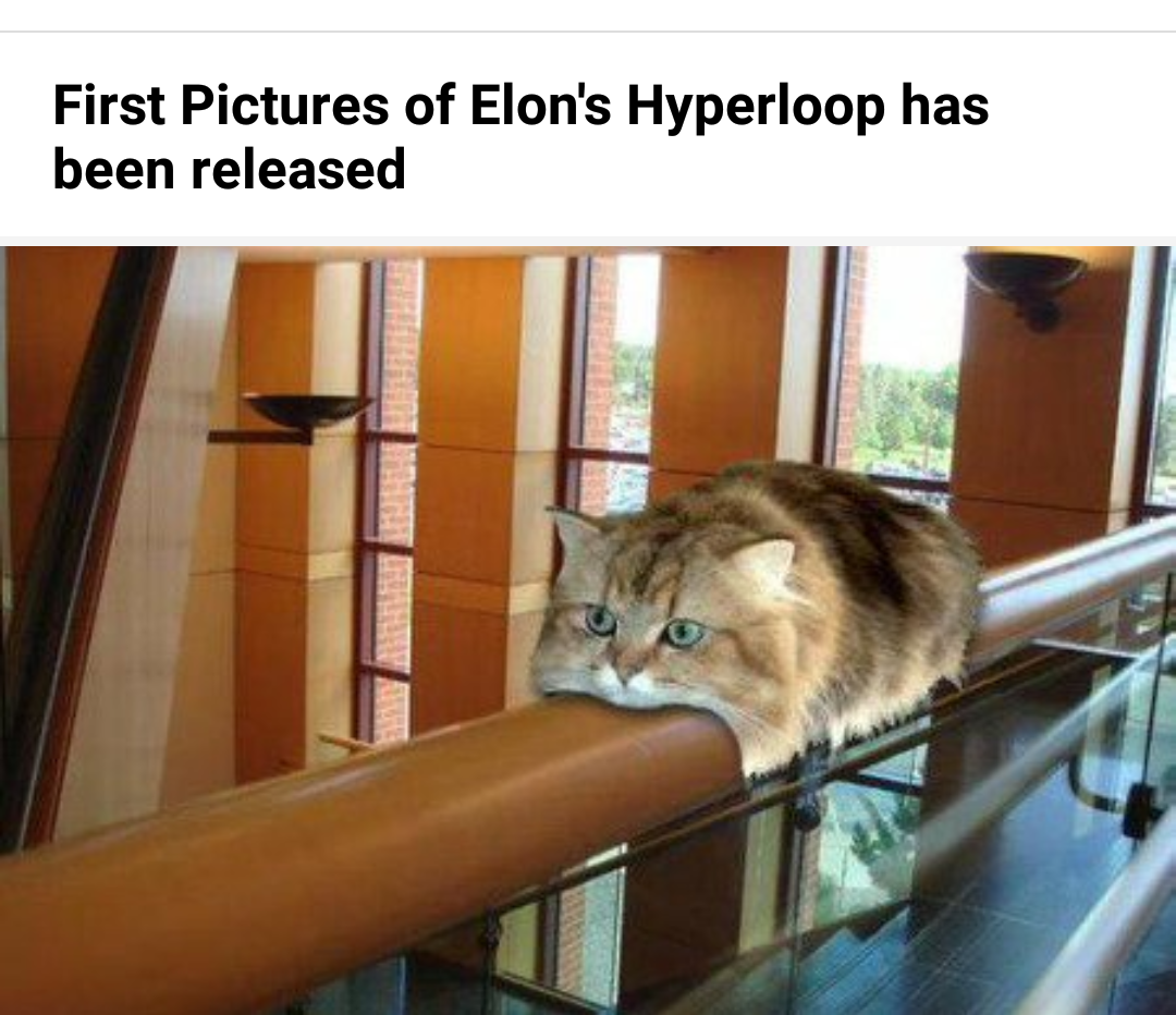 cat monorail - First Pictures of Elon's Hyperloop has been released