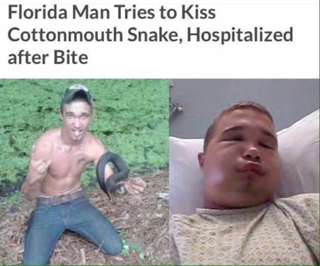 water moccasin snake bite - Florida Man Tries to Kiss Cottonmouth Snake, Hospitalized after Bite