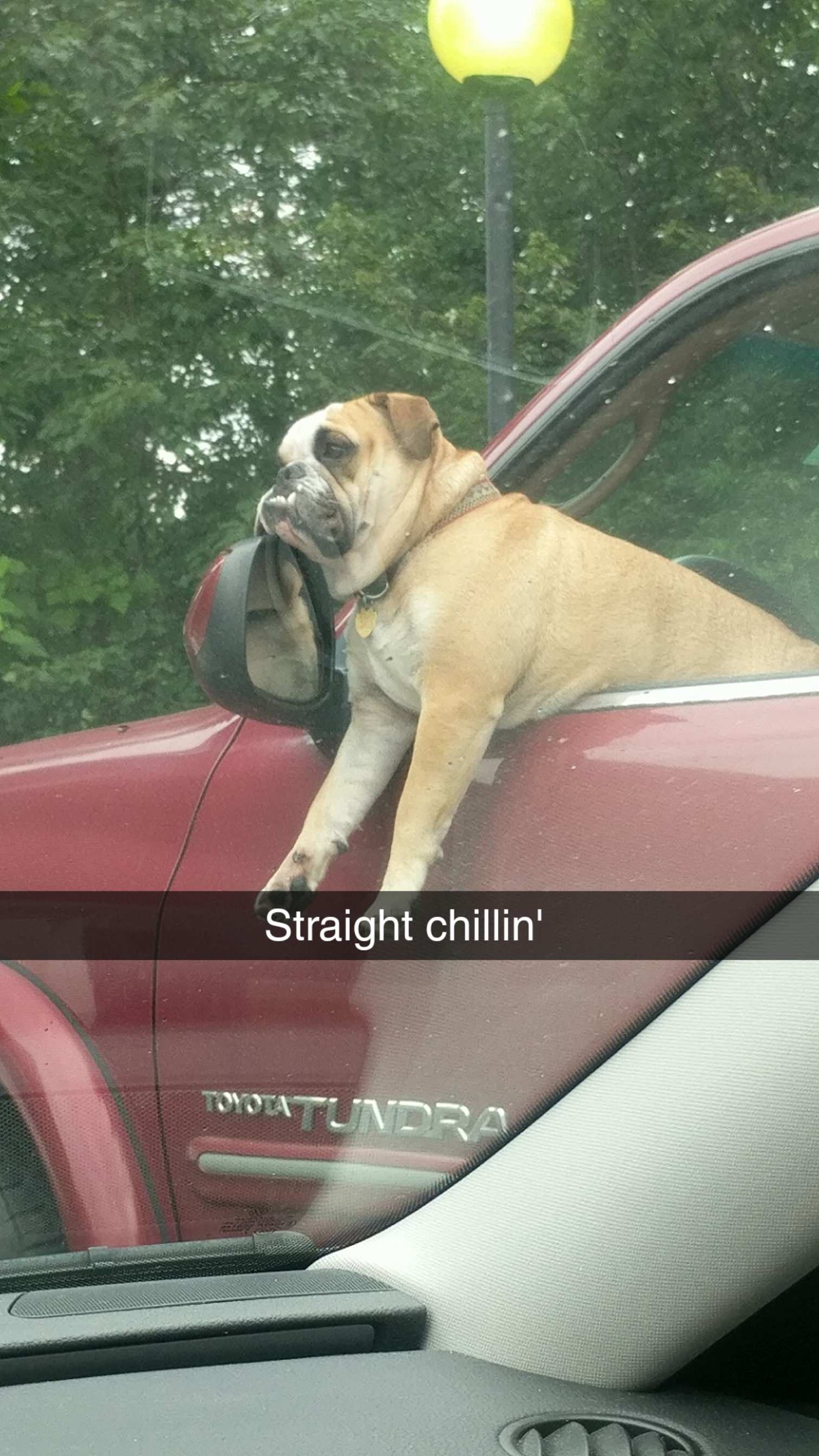 car - Straight chillin' Tigatendex