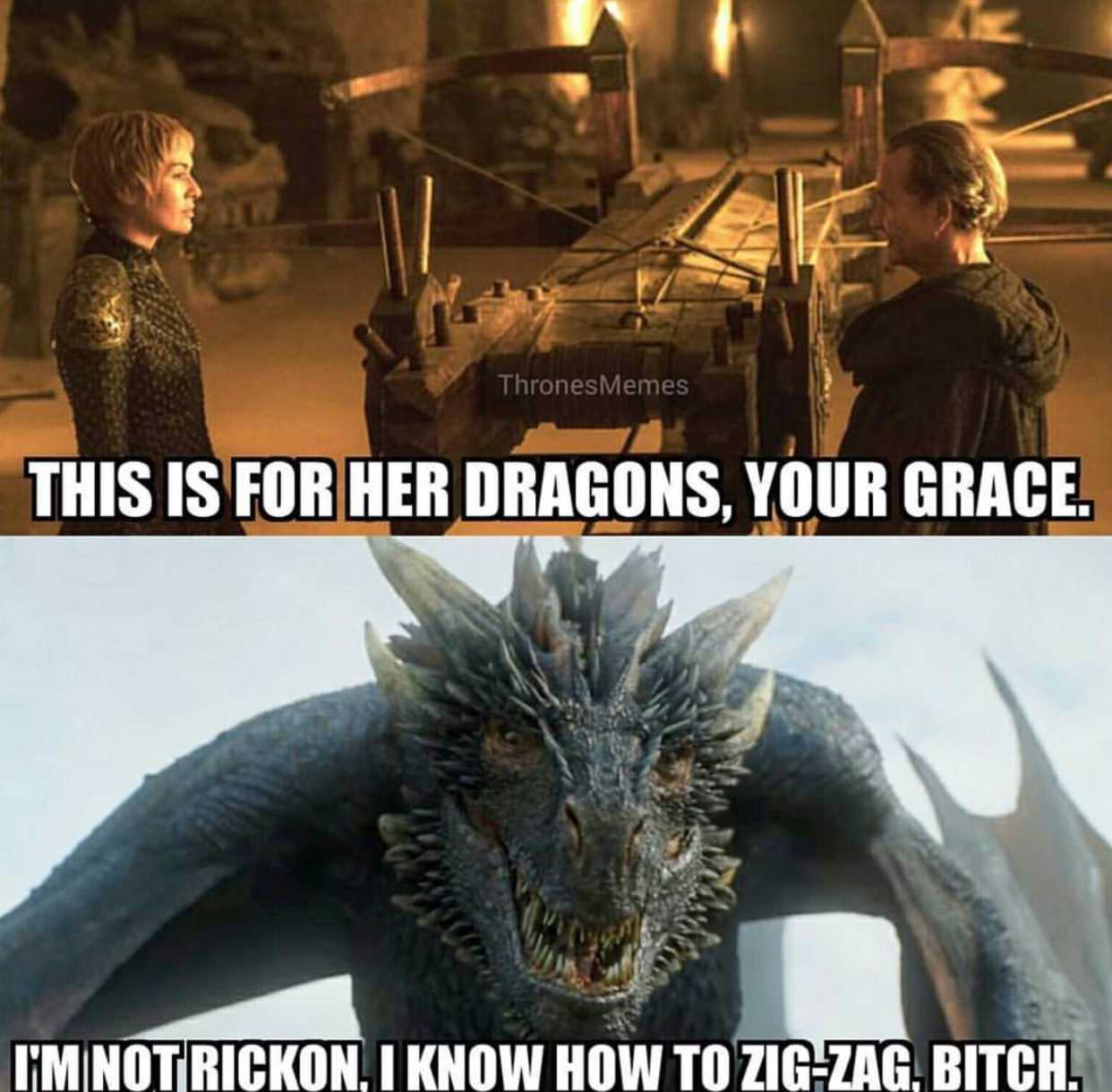 meme got rickon dragon - Thrones Memes This Is For Her Dragons, Your Grace. I'M Notrickon, I Know How To ZigZag, Bitch.