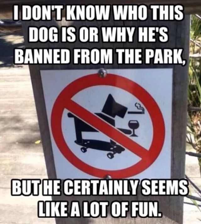 funny sign of the most interesting dog in the world