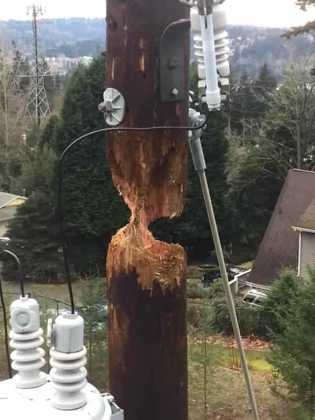electric pole that has just a small amount of wood left holding it up.