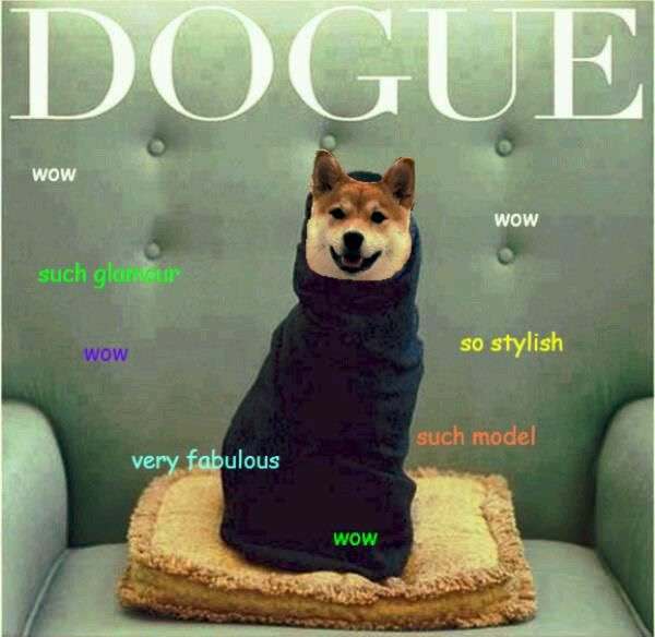 Vogue magazine for dogs as Dogue
