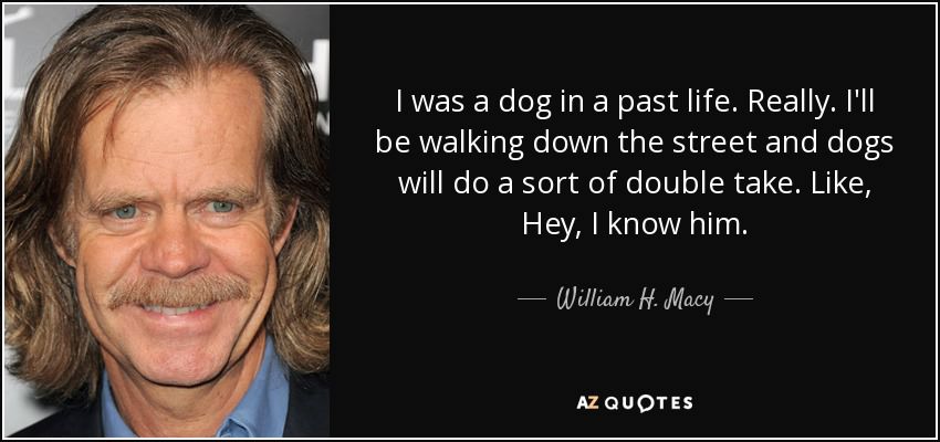 david guetta quotes - I was a dog in a past life. Really. I'll be walking down the street and dogs will do a sort of double take. , Hey, I know him. William H. Macy Az Quotes