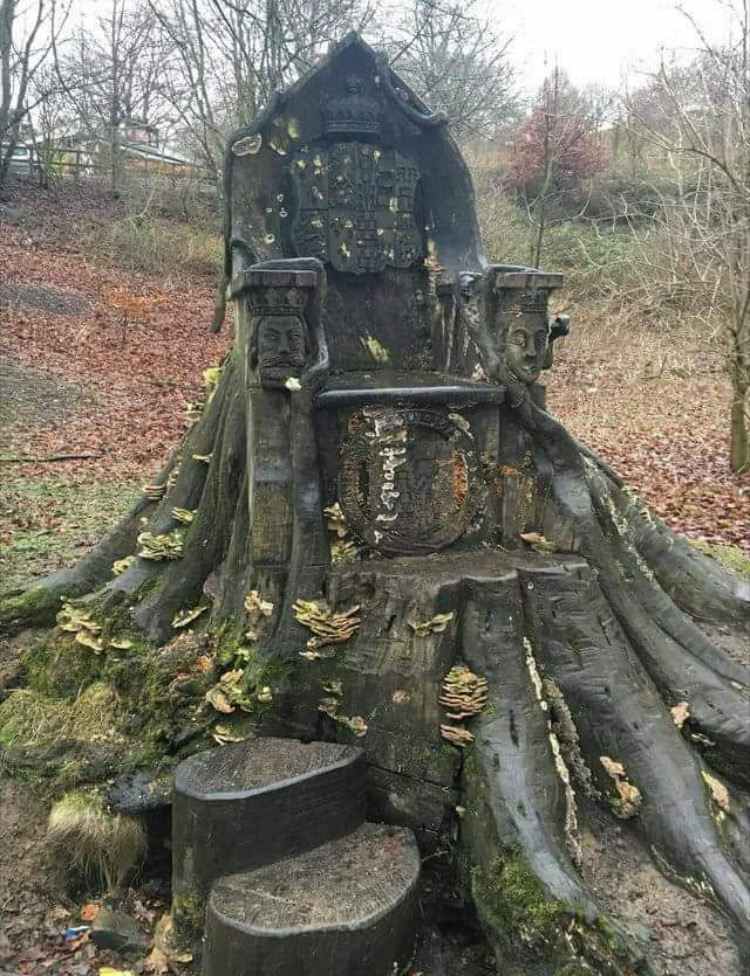 tree trunk throne kendall