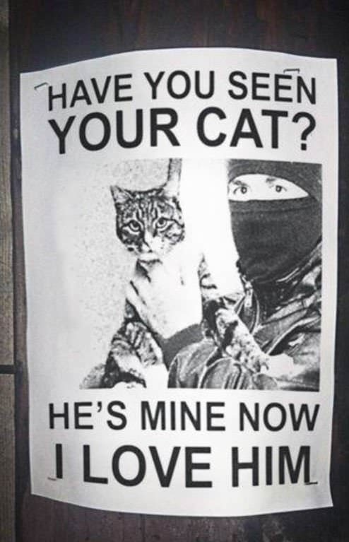 have you seen this cat meme - Have You Seen Your Cat? He'S Mine Now I Love Him