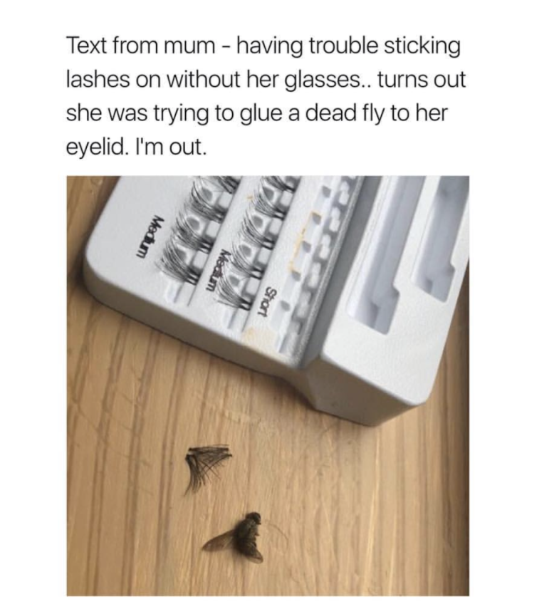 dead fly eyelashes - Text from mum having trouble sticking lashes on without her glasses.. turns out she was trying to glue a dead fly to her eyelid. I'm out. Medium Medium