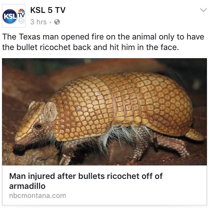 Story of Texas man that shot an armadillo and bullet ricochet and hit him in the face.