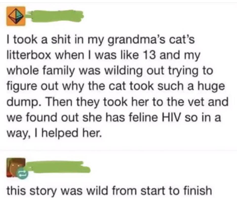 Funny story about when a kid took a dump in grandma's kitty litter and they took her to the vet and realized she has feline hiv