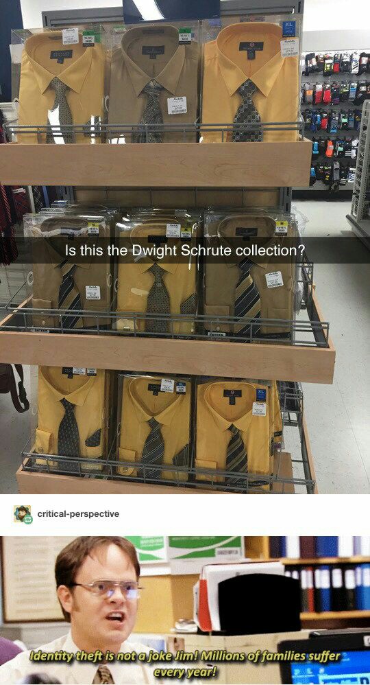 dwight schrute collection - 3239 'Is this the Dwight Schrute collection? criticalperspective Identity theft is not a joke Jim! Millions of families suffer every year!