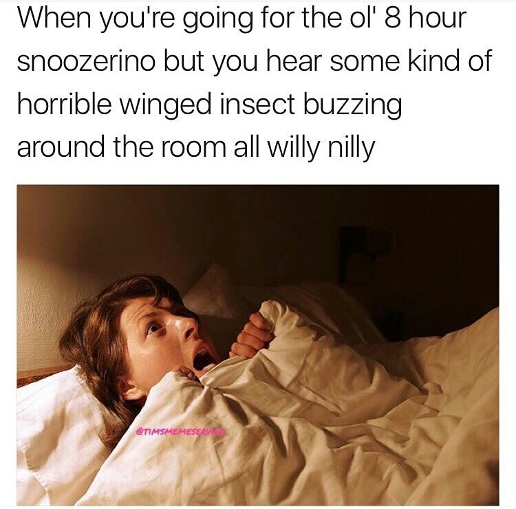 person with nightmares - When you're going for the ol' 8 hour snoozerino but you hear some kind of horrible winged insect buzzing around the room all willy nilly