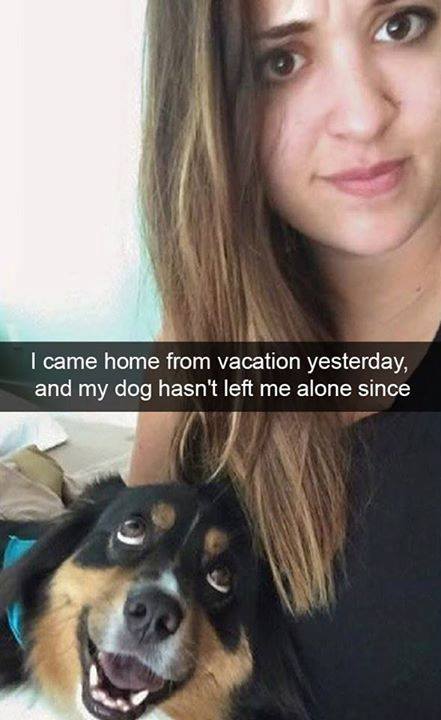 alone with my dog meme - I came home from vacation yesterday, and my dog hasn't left me alone since