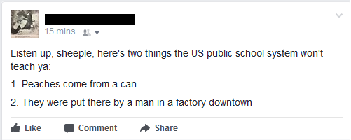 document - 15 mins Listen up, sheeple, here's two things the Us public school system won't teach ya 1. Peaches come from a can 2. They were put there by a man in a factory downtown Comment