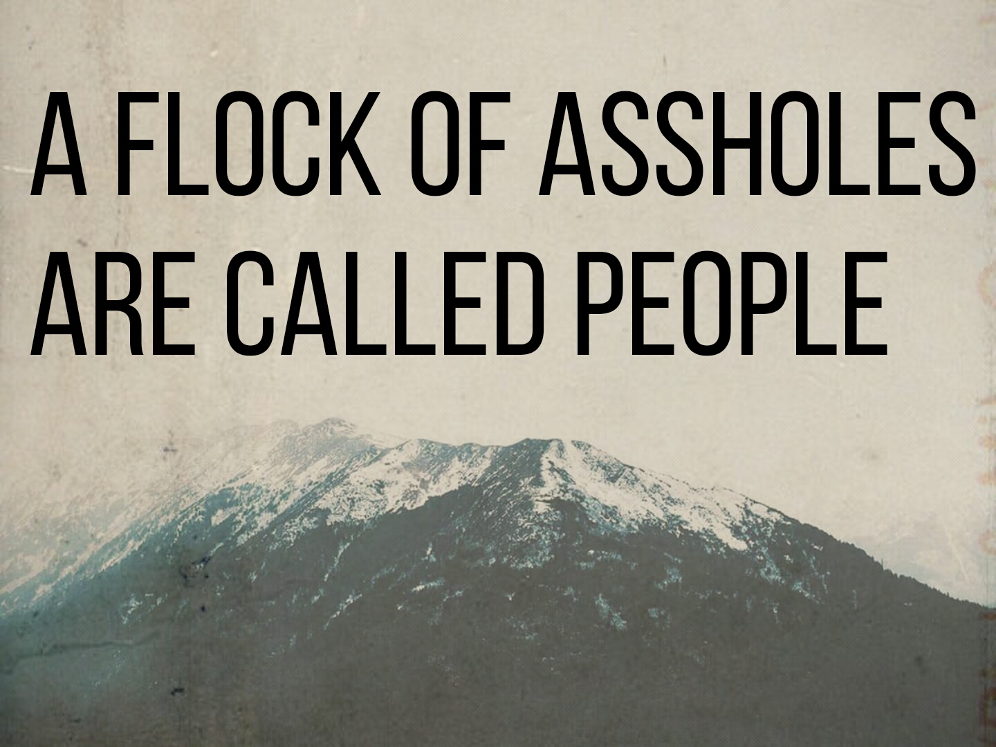 sky - A Flock Of Assholes Are Called People