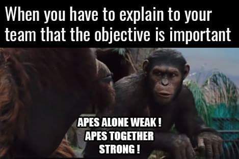 Planet of the apes meme about teamwork