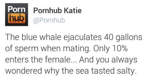 fun fact about how much a blue whale ejaculates