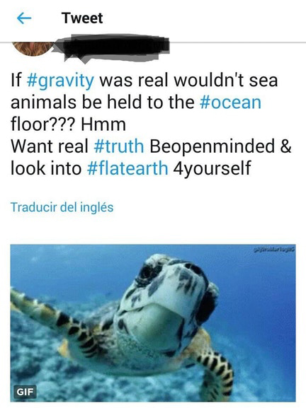 Woke AF person tweeting about how come animals are not at the bottom of the sea because of gravity.