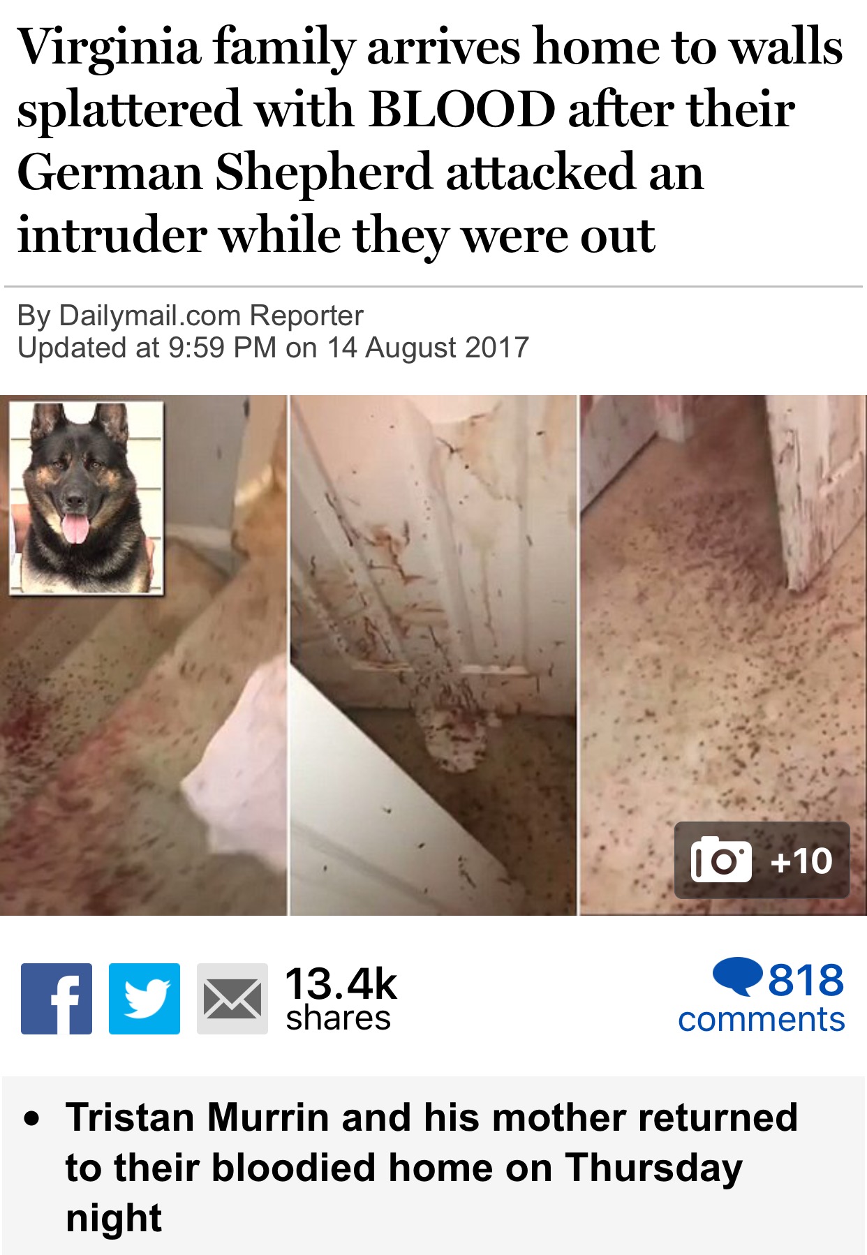 floor - Virginia family arrives home to walls splattered with Blood after their German Shepherd attacked an intruder while they were out By Dailymail.com Reporter Updated at on 10 10 fyrir Q 818 Tristan Murrin and his mother returned to their bloodied hom