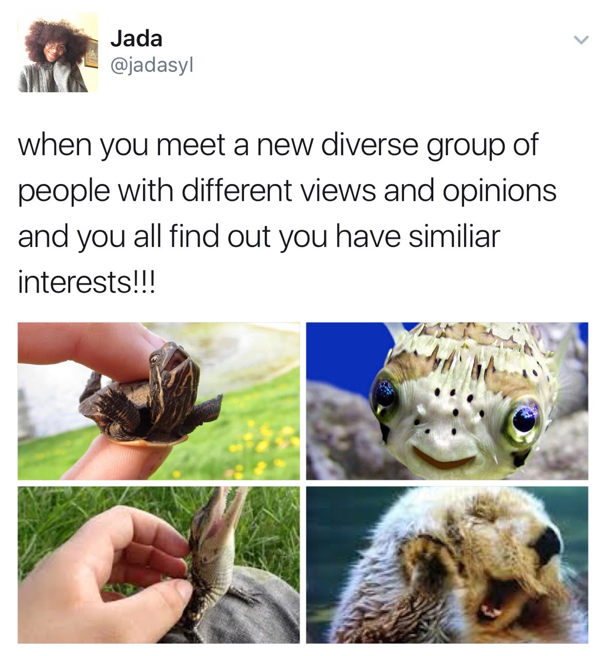 you find someone with the same interests - Jada ! when you meet a new diverse group of people with different views and opinions and you all find out you have similiar interests!!!