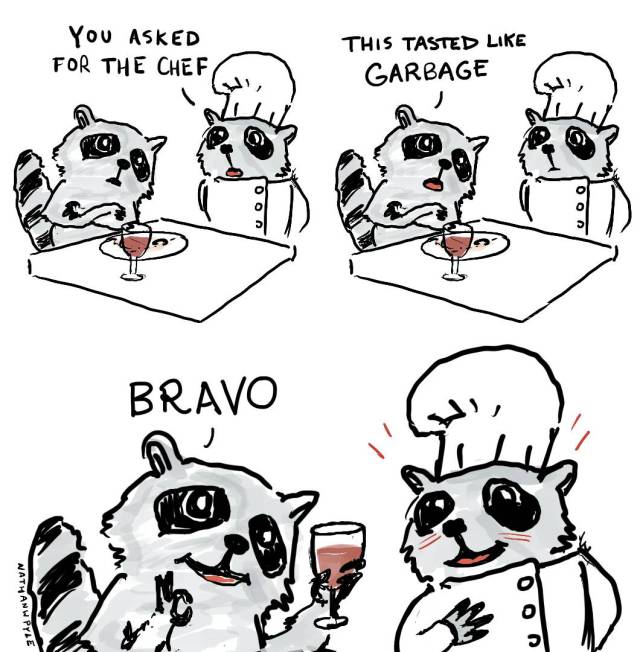 nathan w pyle raccoon - You Asked For The Chef This Tasted Garbage Bravo Nathanw Pyle