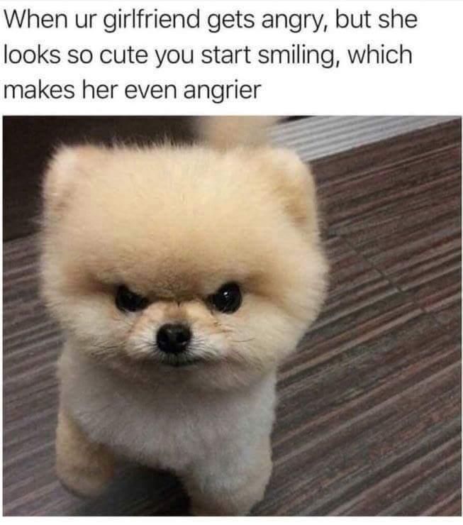 cute memes - When ur girlfriend gets angry, but she looks so cute you start smiling, which makes her even angrier