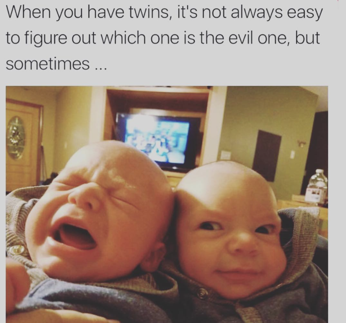 best twin jokes - When you have twins, it's not always easy to figure out which one is the evil one, but sometimes ...