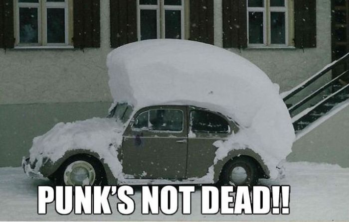 punks not dead beetle - Punk'S Not Dead!!