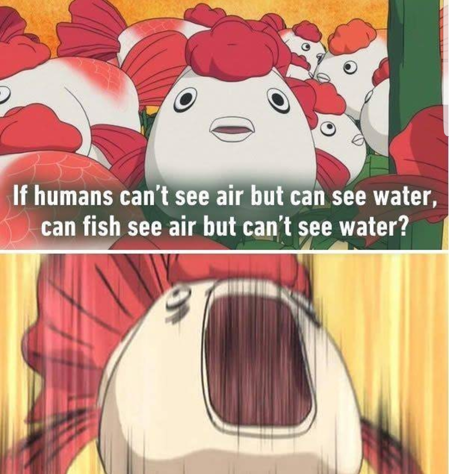 If humans can't see air but can see water, can fish see air but can't see water?