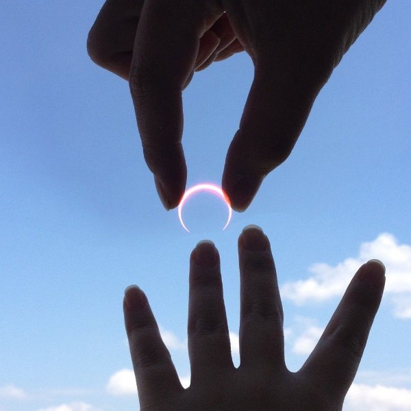 37 Great Pics to Improve Your Post-Eclipse Mood