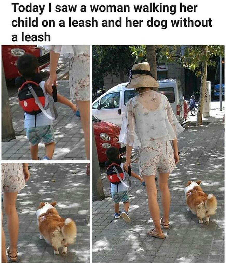 funny picture of woman walking her kid with a leash, but dog without a leash