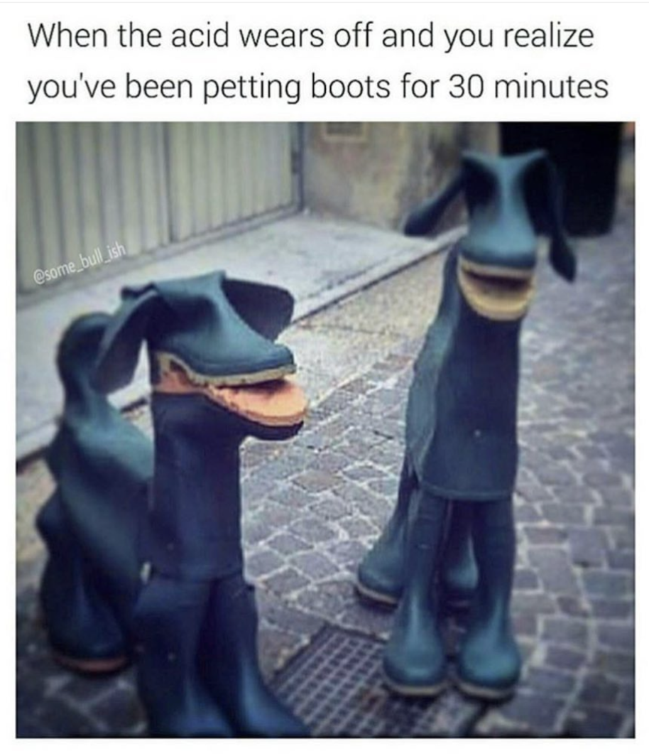 funny meme about boots that look like a dog