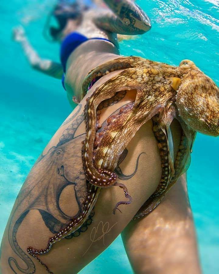 octopus tattoo girl underwater