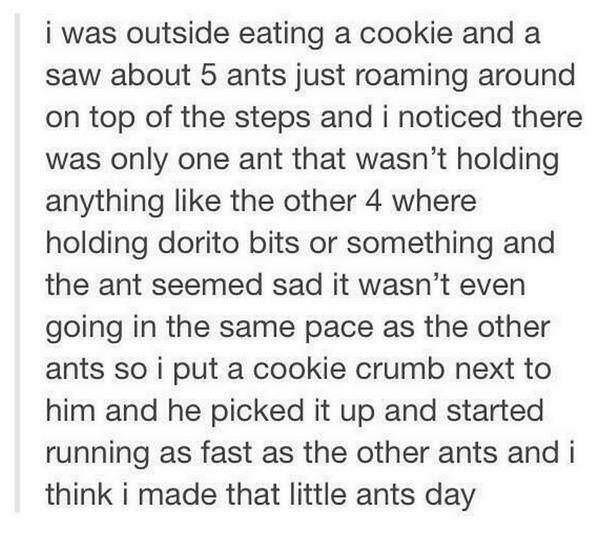 document - i was outside eating a cookie and a saw about 5 ants just roaming around on top of the steps and i noticed there was only one ant that wasn't holding anything the other 4 where holding dorito bits or something and the ant seemed sad it wasn't e
