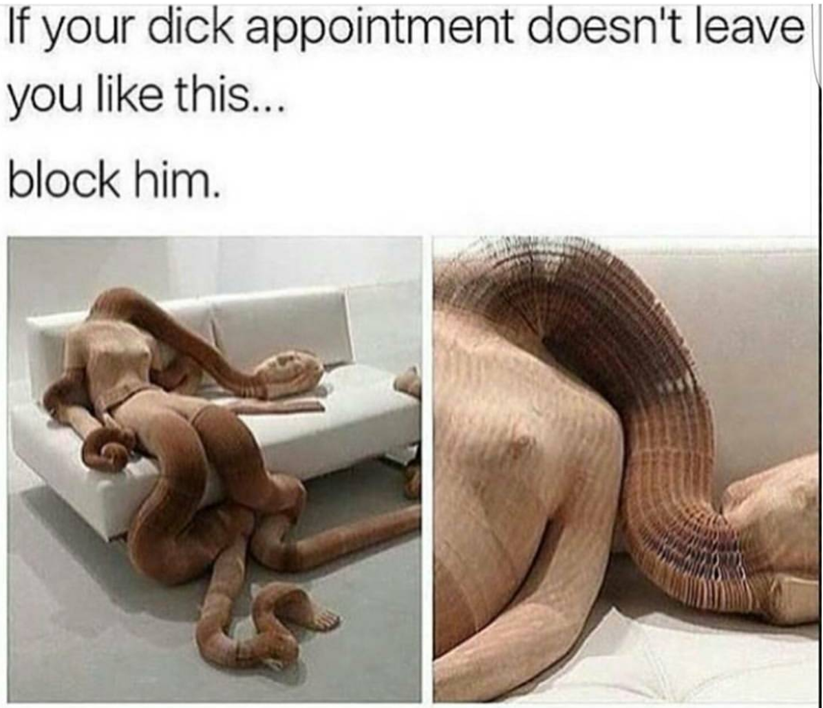 Dick appointment quarantine meme