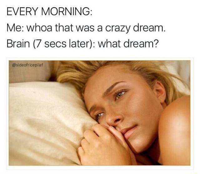 memes funny af - Every Morning Me whoa that was a crazy dream. Brain 7 secs later what dream?