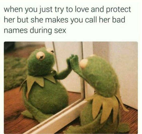 wanna love you meme - when you just try to love and protect her but she makes you call her bad names during sex