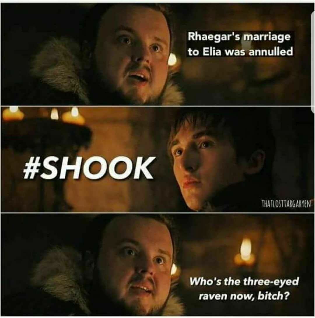 who's the three eyed raven now meme - Rhaegar's marriage to Elia was annulled Thatlositargartent Who's the threeeyed raven now, bitch?