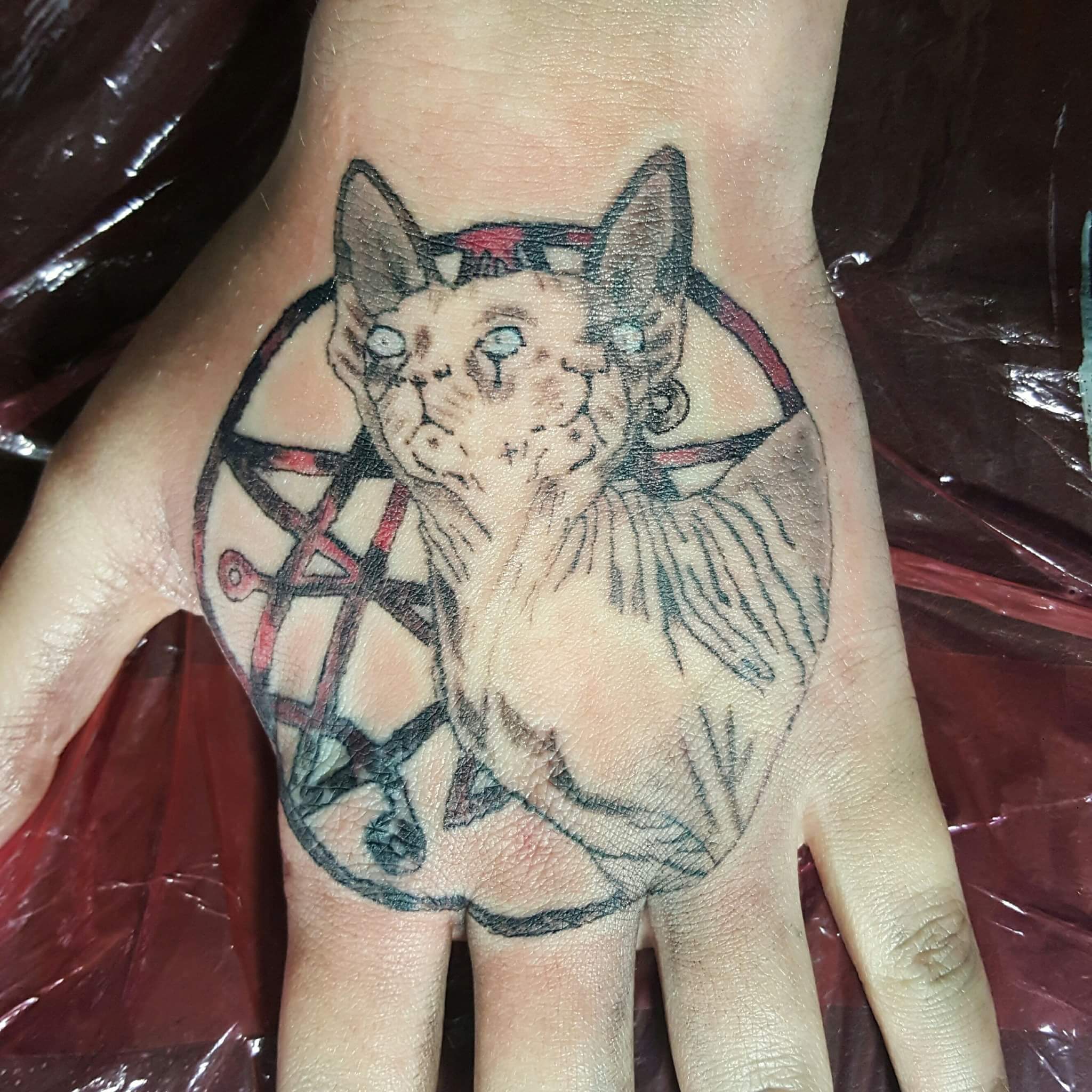 Satan's cat tattoo on someone's hand