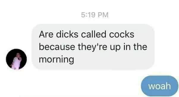 website - Are dicks called cocks because they're up in the morning woah