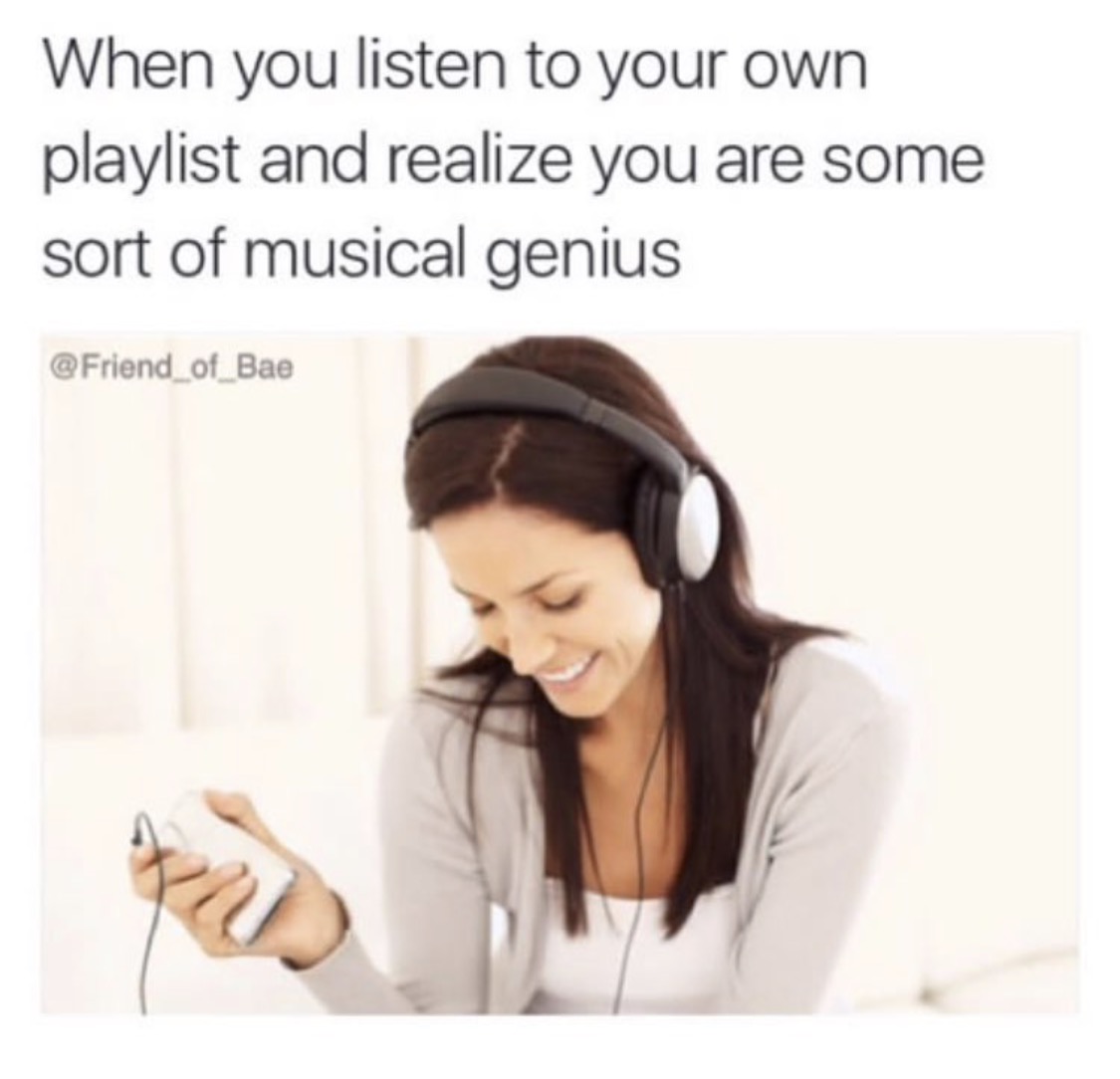 you accidentally hurt your dog meme - When you listen to your own playlist and realize you are some sort of musical genius