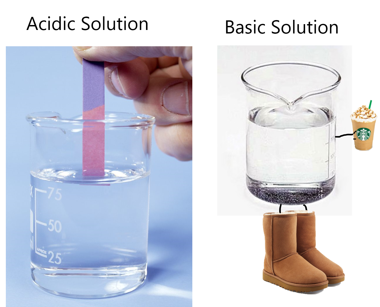 litmus paper - Acidic Solution Basic Solution