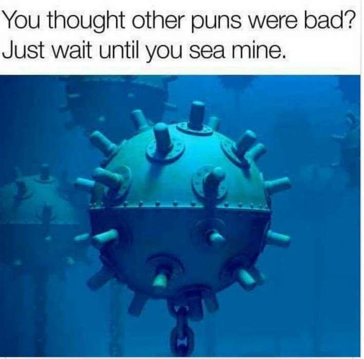 bad puns pun memes - You thought other puns were bad? Just wait until you sea mine.