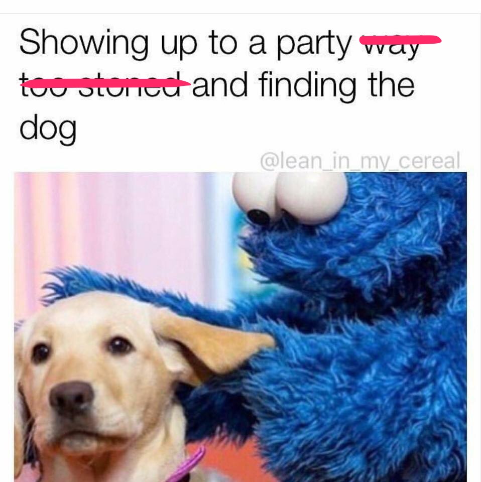 Funny meme of cookie monster playing with puppy about how it feels when you are too stoned at a party and find the dog to play with.