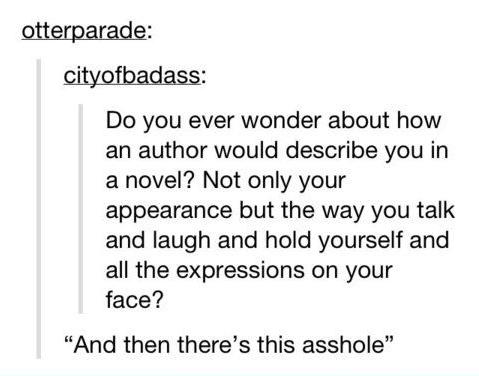 Funny meme about how an author would describe you in a novel.