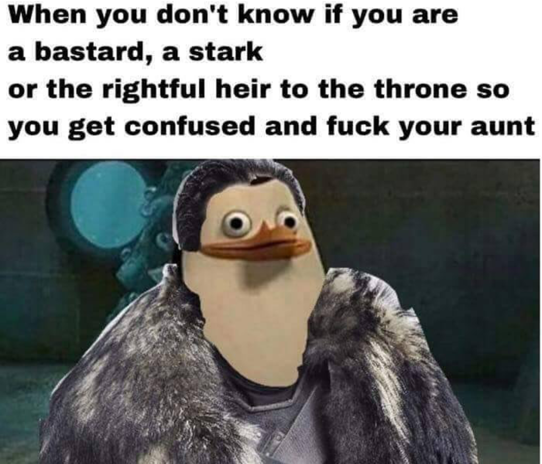 Duck faced Jon Snow as how it feels when you don't know if you are a bastard, a stark, a king of what so you just bang your aunt.