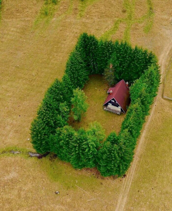 House in the middle of a field surrounded by trees.